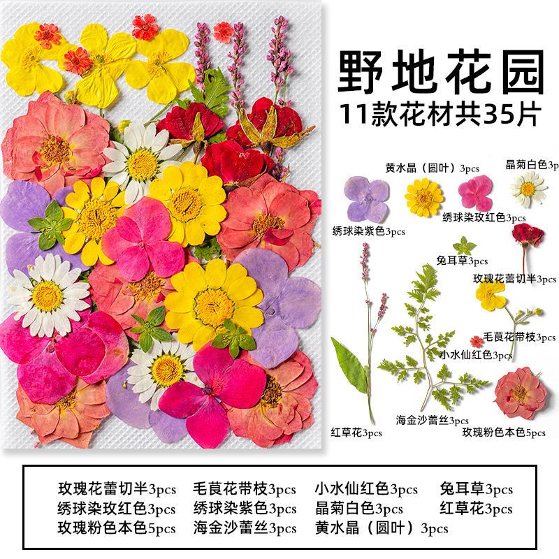 Dried Flower Pressed - 35Pcs10 Set of Dried Flowers and