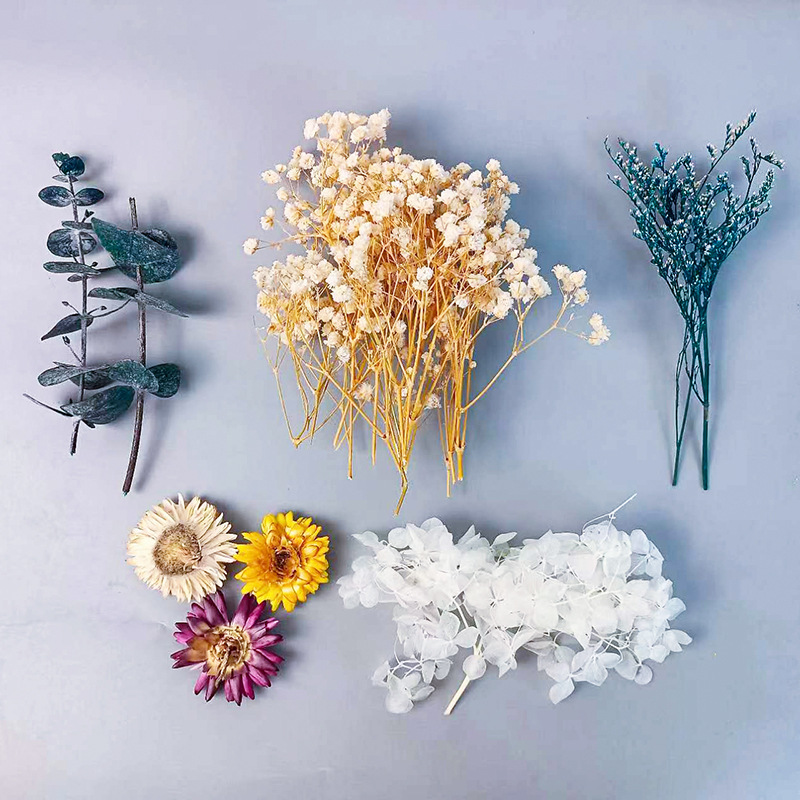 Dried Flower Pressed - 1pack Multifarious Dried Flowers Set For