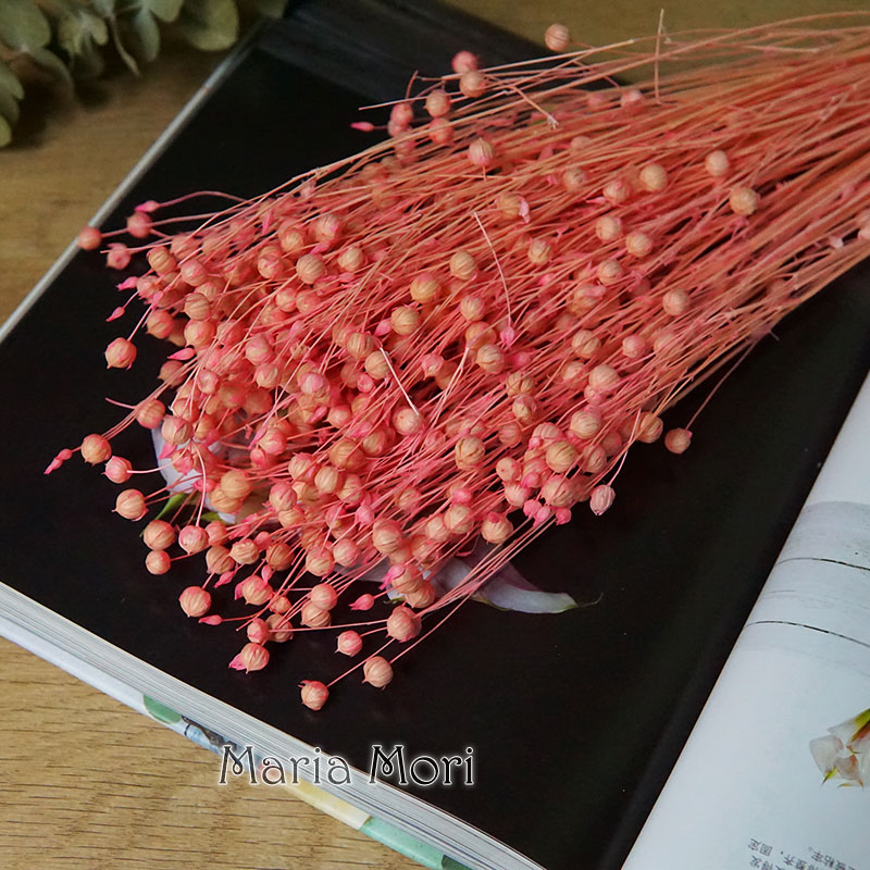 35g/Preserved Ormosia Hosiei N - Dried Flower Pressed 리뷰 및 가격