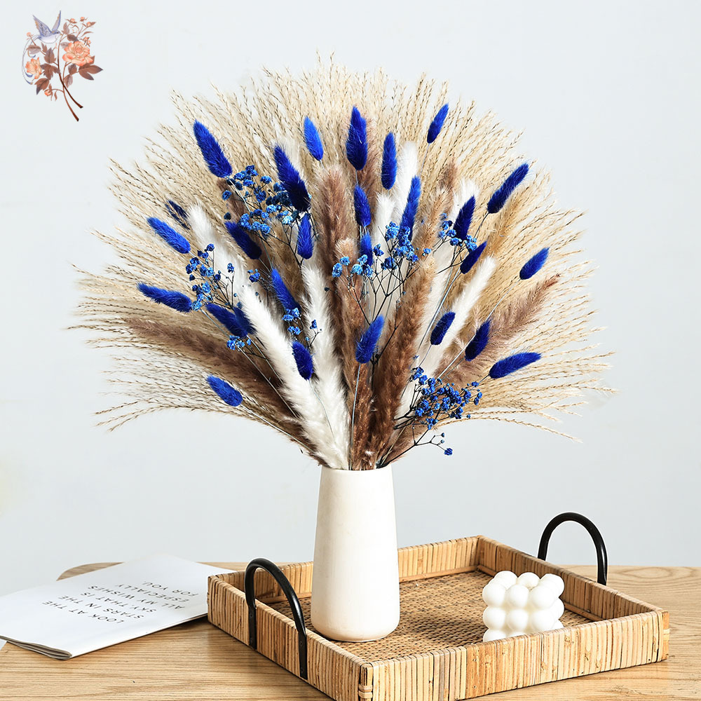 70 Stem Blue Fluffly Rabbit Ta - Dried Flower Pressed 리뷰 및 가격