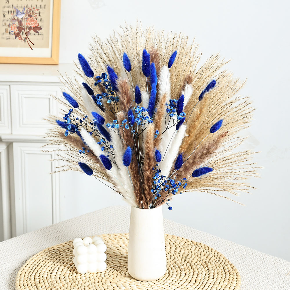 70 Stem Blue Fluffly Rabbit Ta - Dried Flower Pressed 리뷰 및 가격