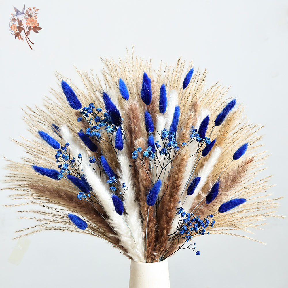 70 Stem Blue Fluffly Rabbit Ta - Dried Flower Pressed 리뷰 및 가격