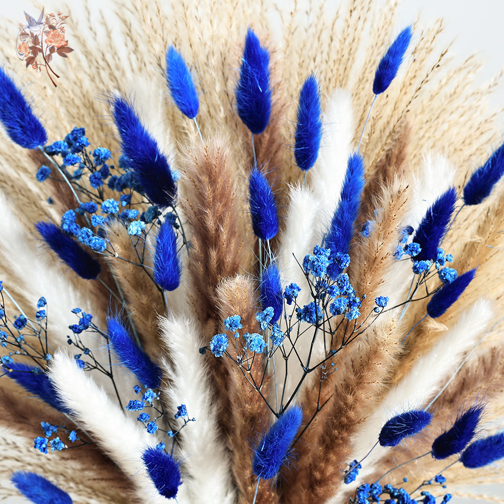 70 Stem Blue Fluffly Rabbit Ta - Dried Flower Pressed 리뷰 및 가격