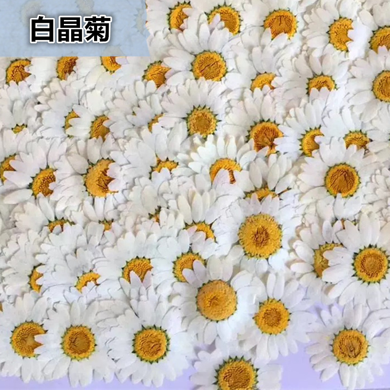 100Pcs Natural White Crystal C - Dried Flower Pressed 리뷰 및 가격