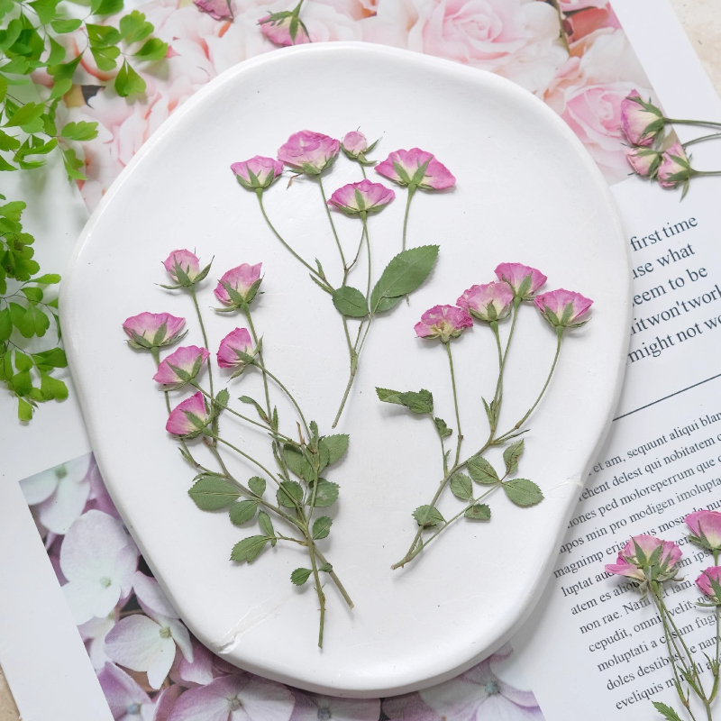 12pcs,Mini Pink Rose Pressed F - Dried Flower Pressed 리뷰 및 가격
