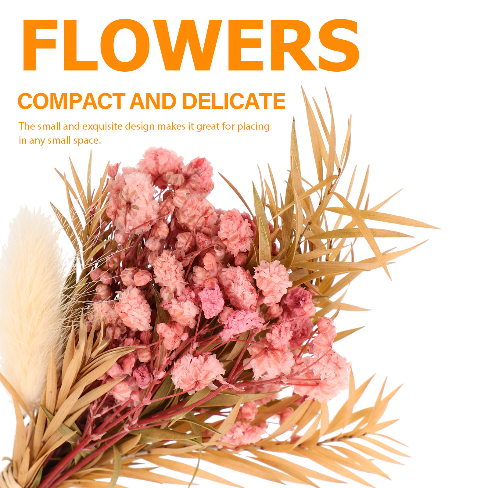 3Pcs Mini Dried Floral Bouquet - Dried Flower Pressed 리뷰 및 가격