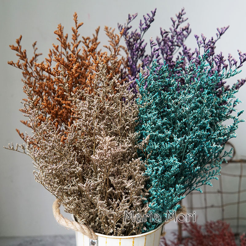 50g/Preserved Valentine's Gras - Dried Flower Pressed 리뷰 및 가격