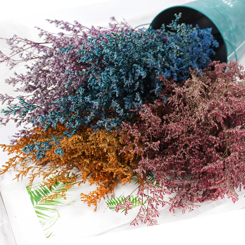 50g/Preserved Valentine's Gras - Dried Flower Pressed 리뷰 및 가격
