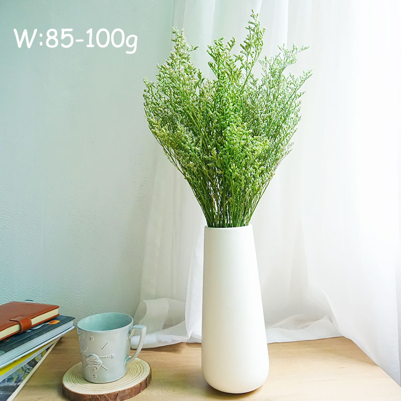 50g/Preserved Valentine's Gras - Dried Flower Pressed 리뷰 및 가격
