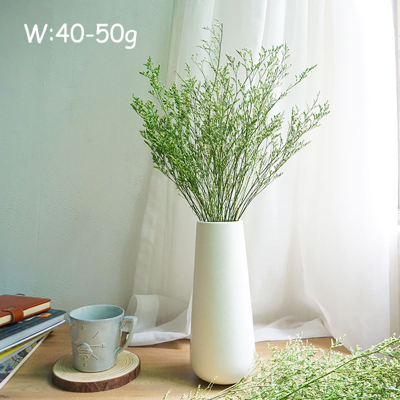 50g/Preserved Valentine's Gras - Dried Flower Pressed 리뷰 및 가격
