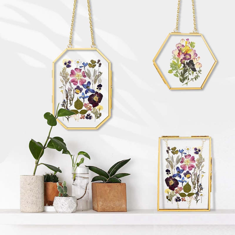 3 Pcs Pressed Flower Frames wi - Dried Flower Pressed 리뷰 및 가격