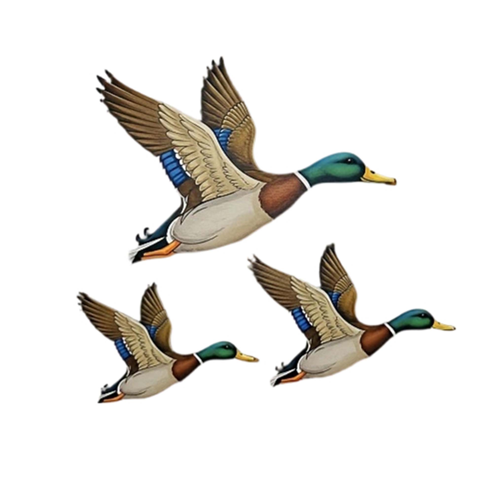 3Pcs Wild Duck Wall Arts Uniqu - Resin Art Hanging 리뷰 및 가격