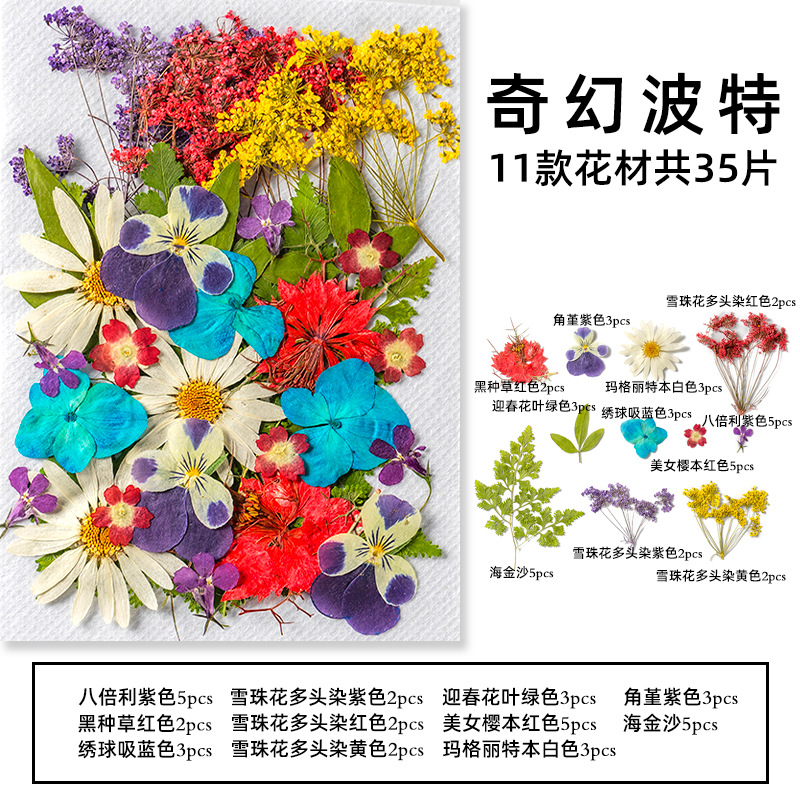 35Pcs10 Set of Dried Flowers a - Dried Flower Pressed 리뷰 및 가격