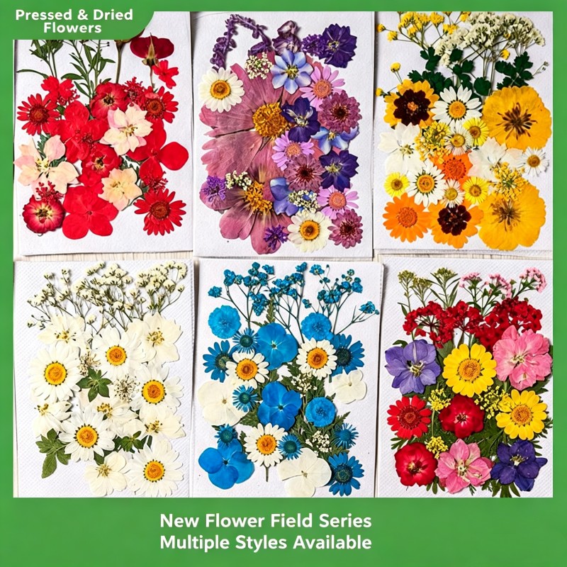 35Pcs10 Set of Dried Flowers a - Dried Flower Pressed 리뷰 및 가격
