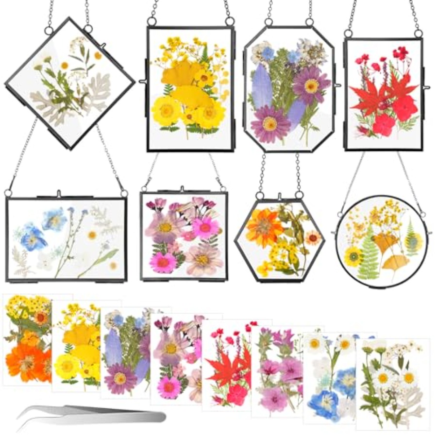 Barydat 8 Set Glass Pressed Fl - Dried Flower Pressed 리뷰 및 가격