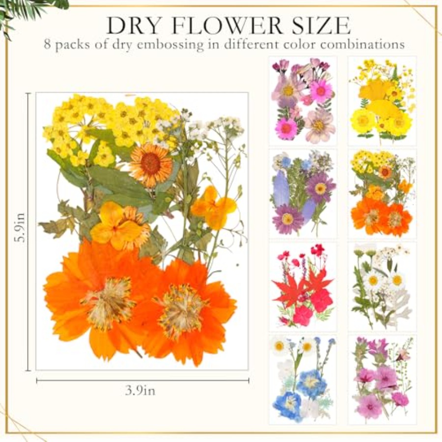 Barydat 8 Set Glass Pressed Fl - Dried Flower Pressed 리뷰 및 가격