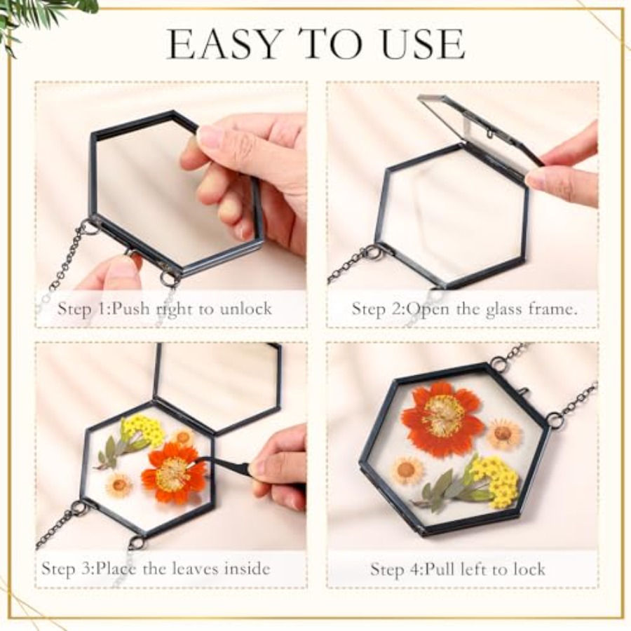 Barydat 8 Set Glass Pressed Fl - Dried Flower Pressed 리뷰 및 가격