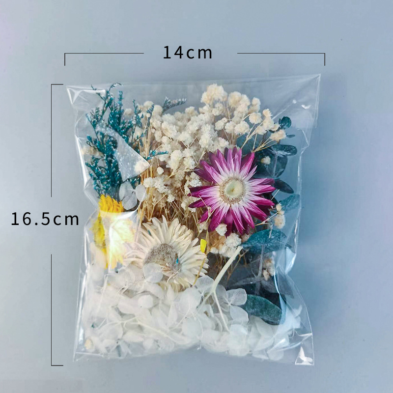 1pack Multifarious Dried Flowe - Dried Flower Pressed 리뷰 및 가격