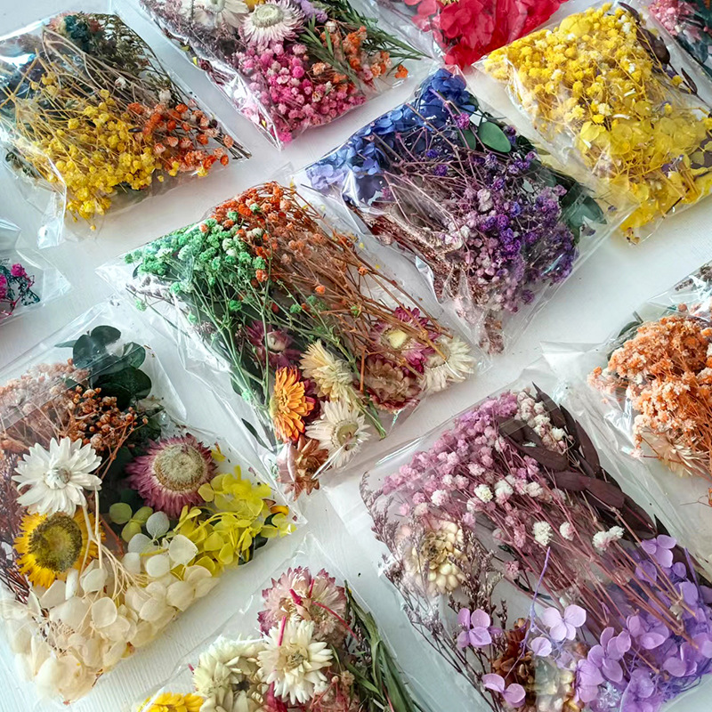 1pack Multifarious Dried Flowe - Dried Flower Pressed 리뷰 및 가격