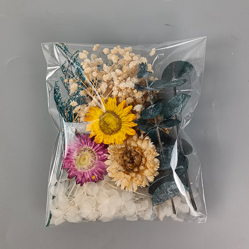 1pack Multifarious Dried Flowe - Dried Flower Pressed 리뷰 및 가격