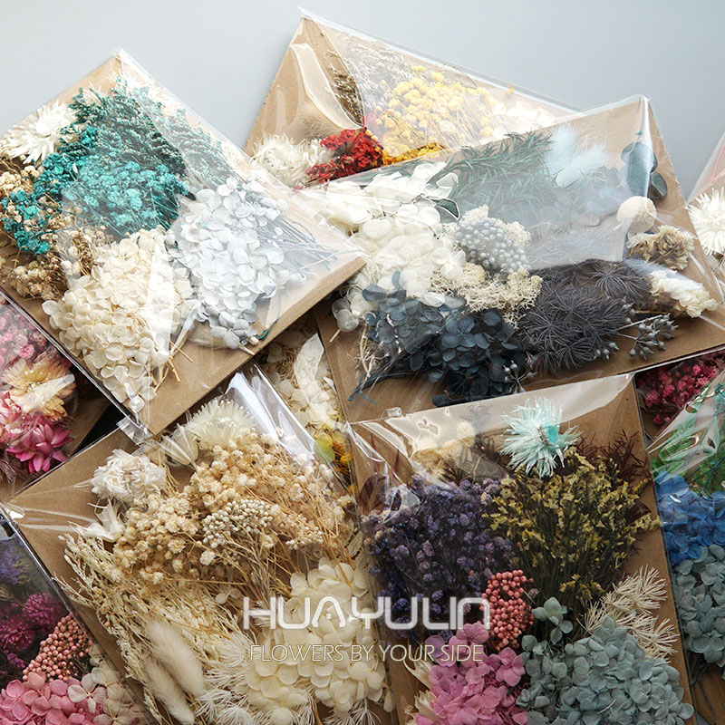 1 Pack Artificial Plants Dried - Dried Flower Pressed 리뷰 및 가격