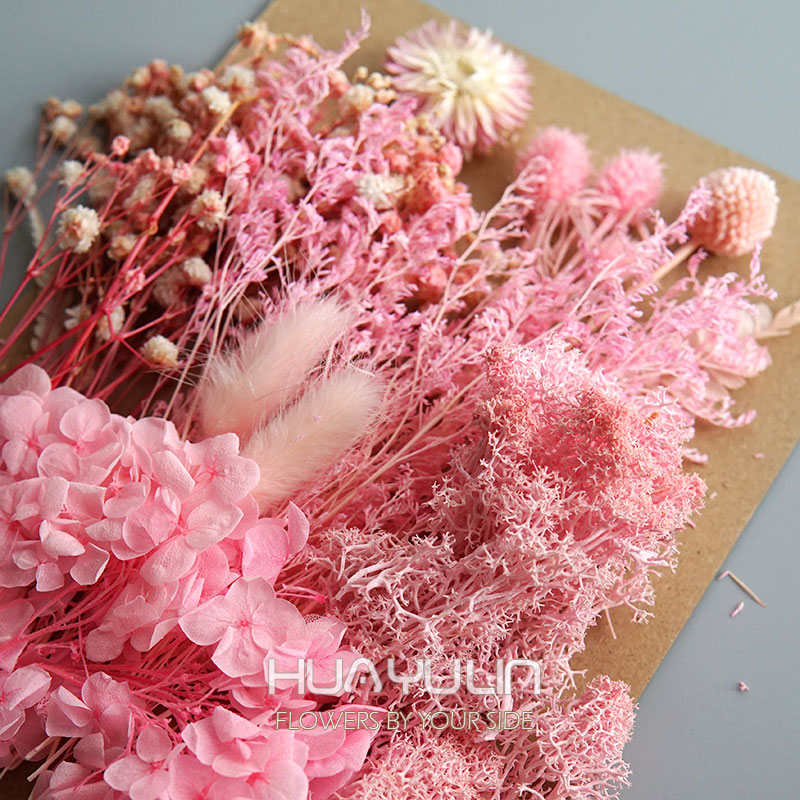1 Pack Artificial Plants Dried - Dried Flower Pressed 리뷰 및 가격