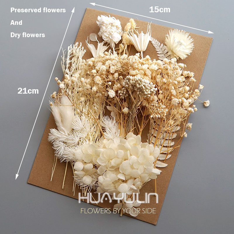 1 Pack Artificial Plants Dried - Dried Flower Pressed 리뷰 및 가격